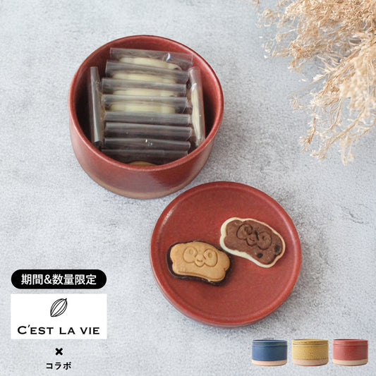 信楽焼に入ったたぬきのチョコクッキー